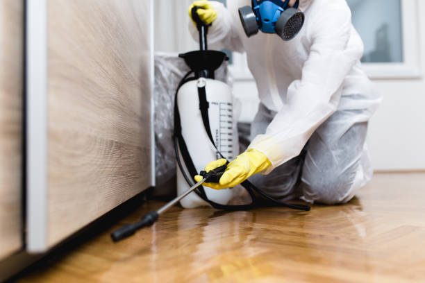 Best Pest Removal Services  in Bagdad, AZ