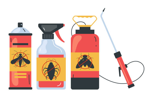 Wasp Removal Services in Bagdad, AZ