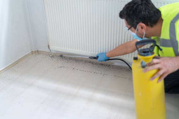 Best Emergency Pest Control  in Bagdad, AZ