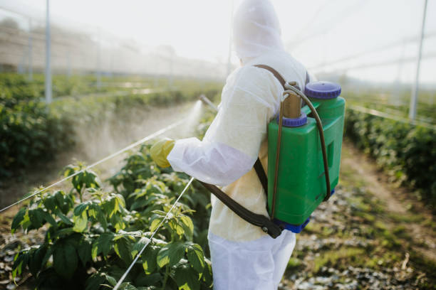 Best Residential Pest Control  in Bagdad, AZ
